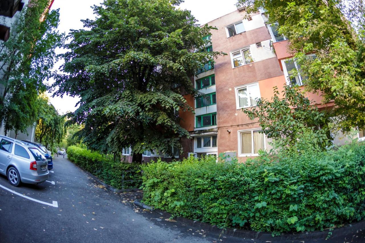 Apartament Family Rivulus 8 Baia Mare Extérieur photo